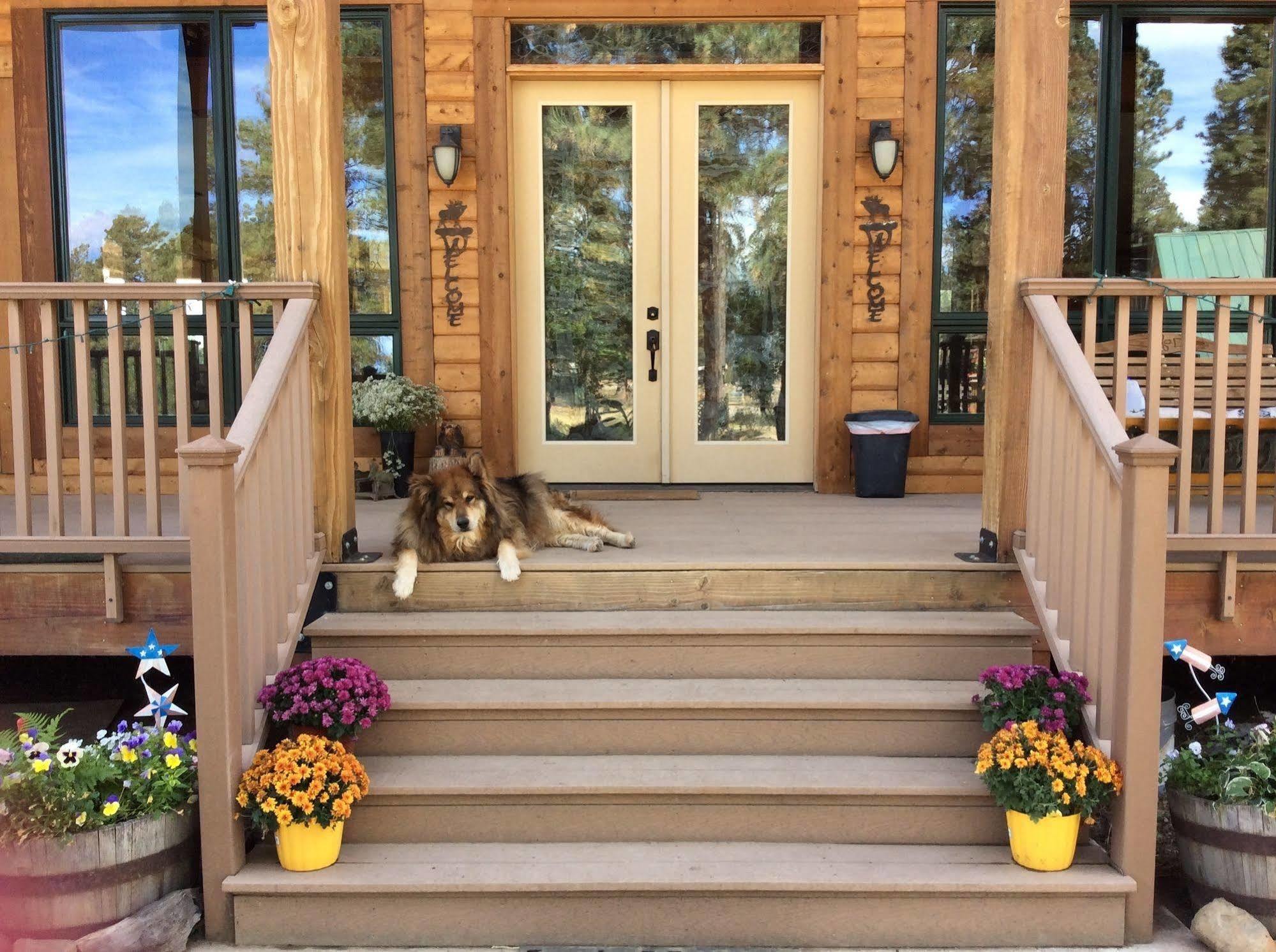 Bed & Breakfast Elktrace 3*